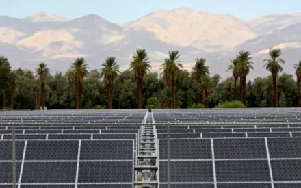 Pros and Cons of Solar Farms: Weighing the Benefits and Challenges of Large-Scale Sun Power
