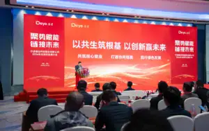 Clean Energy Innovation and Sustainable Development.